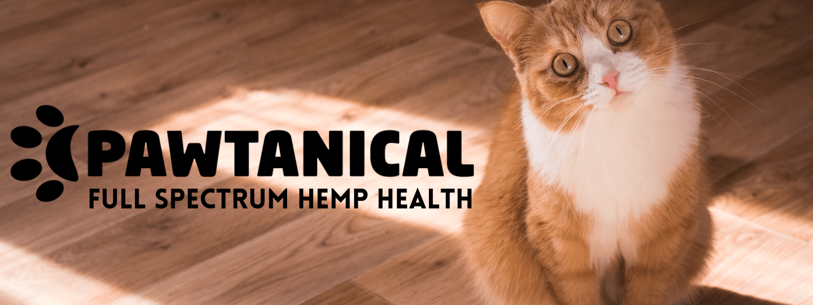 Manchester Pet Supplies Manchester Pet Supplies